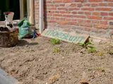 Moestuin voor kinderen