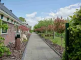 Een uitzicht op de achtertuin van de Tjarietstee met bomen langs het pad