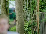 Bosfoto en aan de voorkant een wazig kind door de afstand