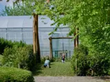 Kinderen op een schommel